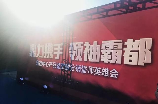 鼎力攜手，領(lǐng)袖霸都！合肥鼎鑫中心產(chǎn)品鑒賞暨分銷誓師英雄會圓滿落幕！