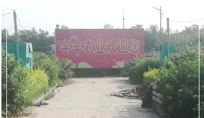 建一個(gè)市場(chǎng)、興一方產(chǎn)業(yè)、富一方百姓，孝義農(nóng)產(chǎn)品大市場(chǎng)產(chǎn)供銷一體化在行動(dòng)！