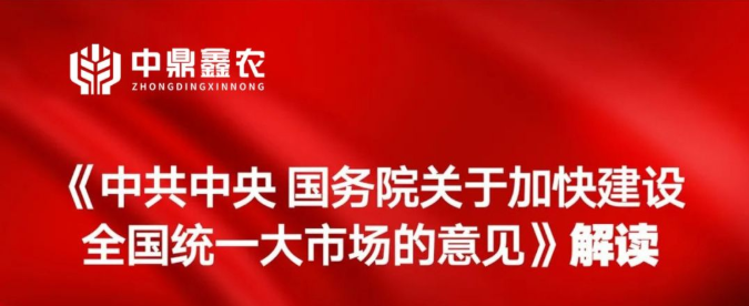 《中共中央 國務院關于加快建設全國統(tǒng)一大市場的意見》解讀